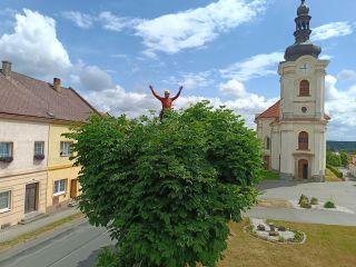 Další fotky od zákazníka,komplet práce s nůžkami STIHL ASA20 Děkuji @petrossuchman za fotky ;)