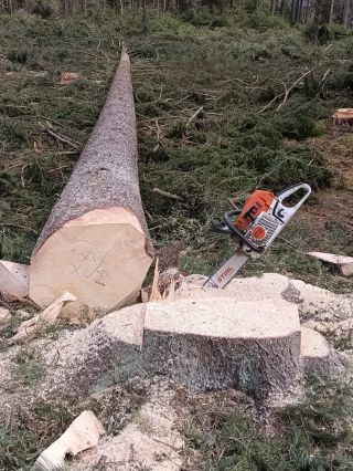 Fotka od zákazníka vždy potěší ;)